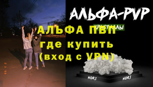 гашик Беломорск