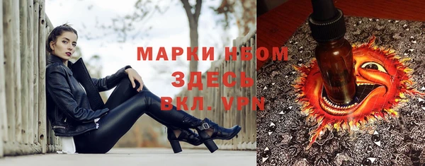гашик Беломорск