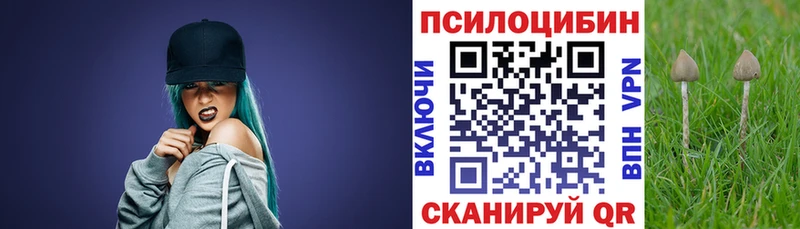 кракен онион Козловка Галлюциногенные грибы ЛСД дарнет шоп