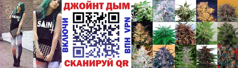 где купить наркотик  Козловка  Шишки марихуана ГИДРОПОН 